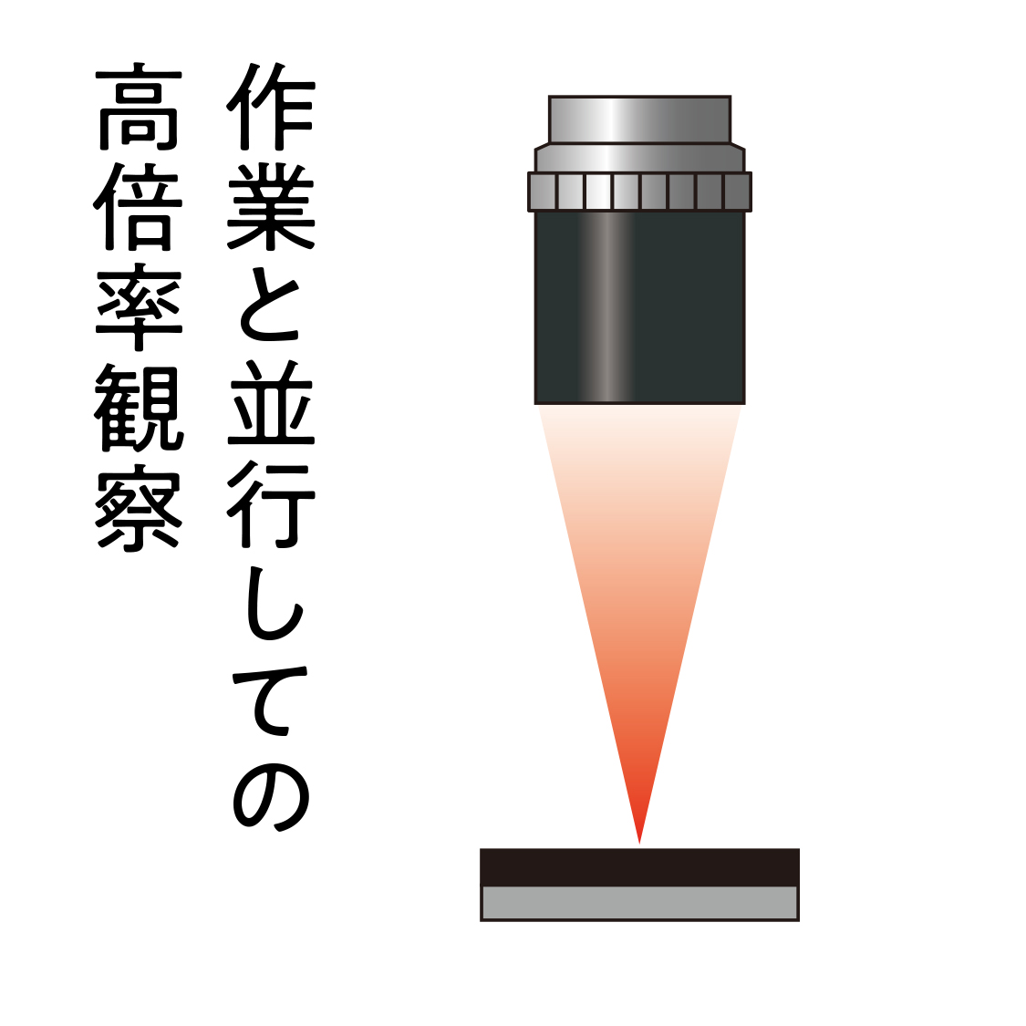 作業と並行しての高倍率観察